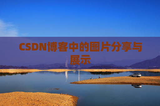 CSDN博客中的图片分享与展示